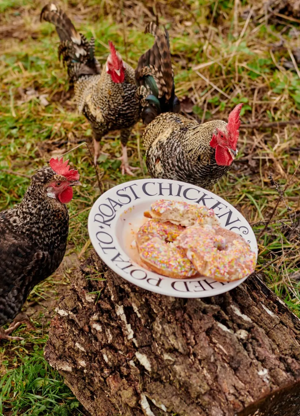 Black Toast Roast Chicken Large Dinner Plate, 10.5 Inch