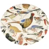 British Birds Large Oval Platter