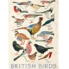 British Birds Tea Towel