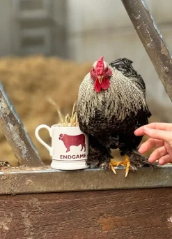 Diddly Squat Farm Endgame Bull 1/2 Pint Mug