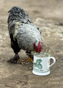 Diddly Squat Farm: Farmer-Ish 1/2 Pint Mug