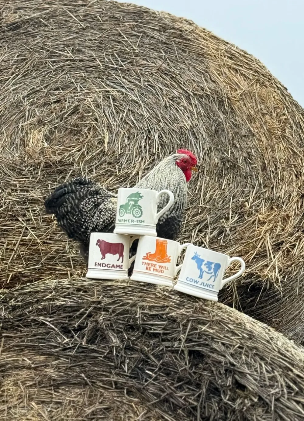Diddly Squat Farm: Farmer-Ish 1/2 Pint Mug