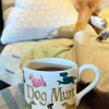 Personalised All Over Dogs 1/2 Pint Mug