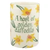 Personalised Daffodils Medium Vase