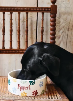 Personalised Polka Paws Large Pet Bowl
