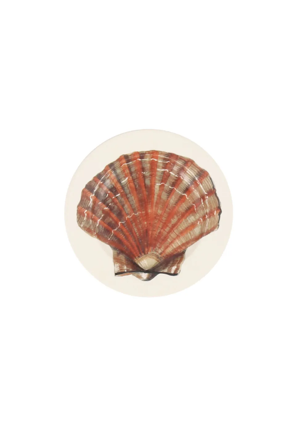 Scallop Shell Small Side Plate, 6.5 Inch