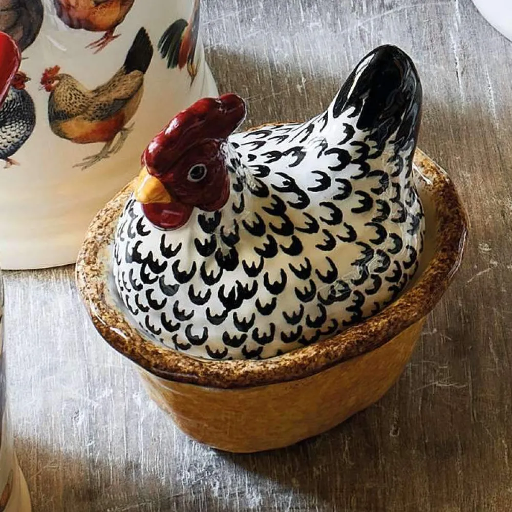 Silver Small Hen on Nest