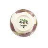 Vegetable Garden Garlic Small Old Bowl
